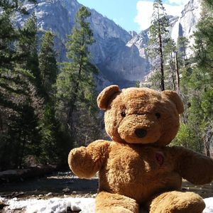 Meet your Posher, Elizabeth-anne